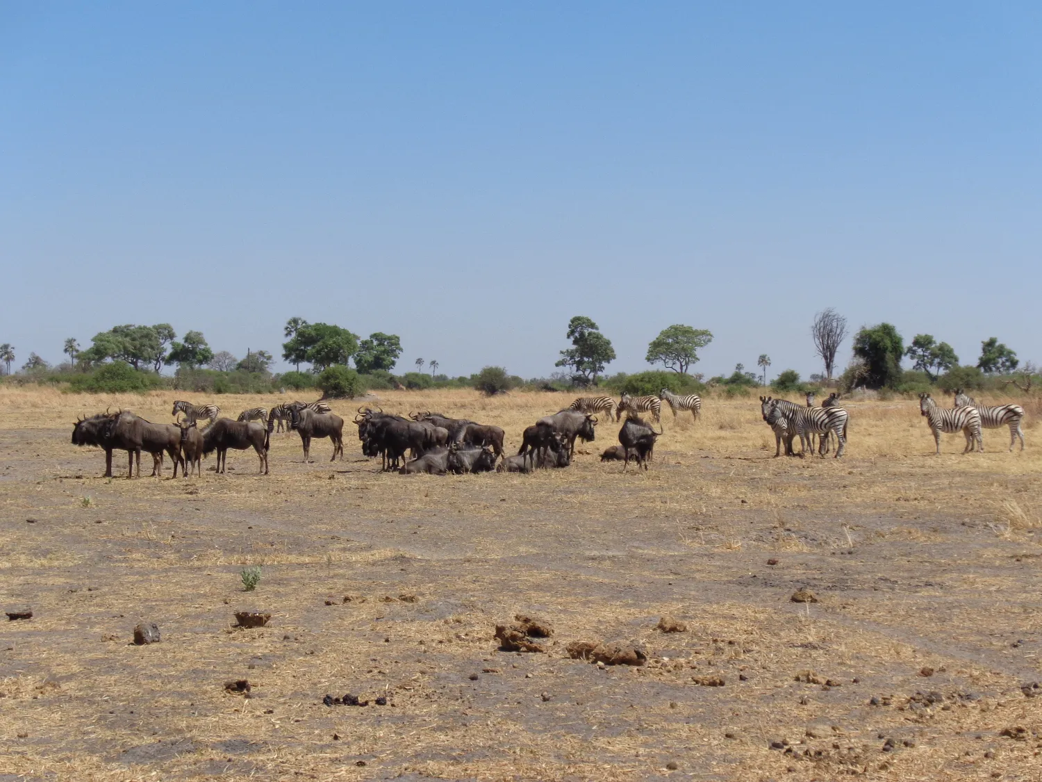 Namibia Reisebericht Als Selbstfahrer Inklusive Botswana